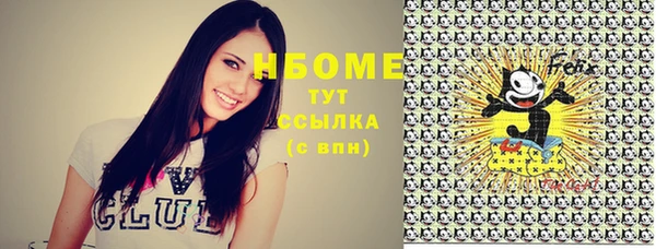 ПСИЛОЦИБИНОВЫЕ ГРИБЫ Бородино