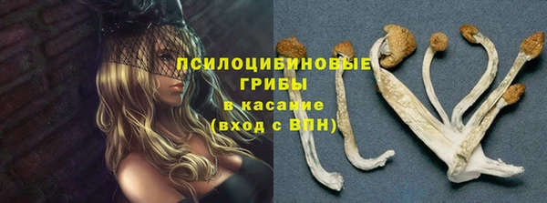 первитин Верея