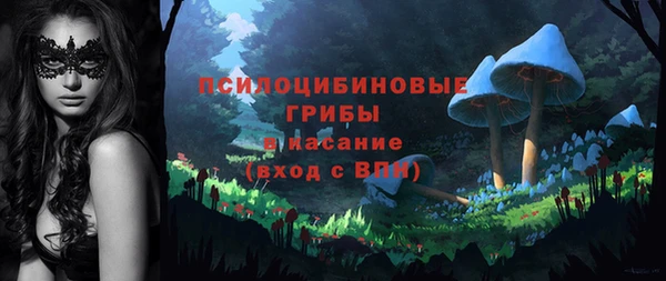 крисы Верхнеуральск