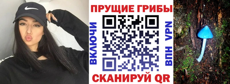 Псилоцибиновые грибы Magic Shrooms  купить наркотики цена  Новохопёрск 